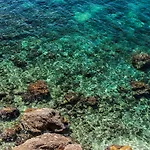 Limanaki 3*